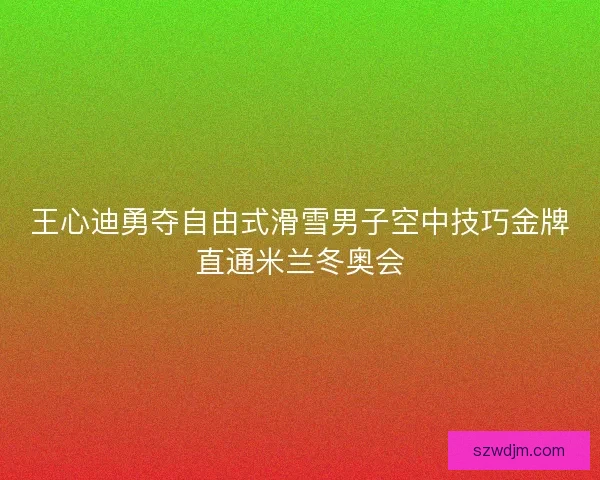 王心迪勇夺自由式滑雪男子空中技巧金牌直通米兰冬奥会