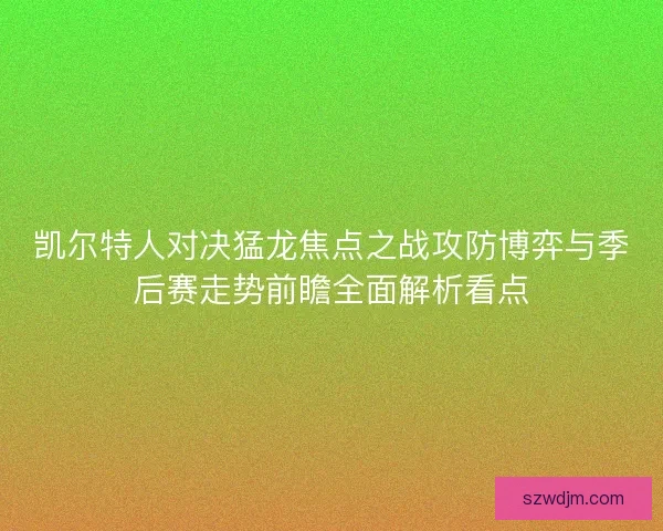 凯尔特人对决猛龙焦点之战攻防博弈与季后赛走势前瞻全面解析看点