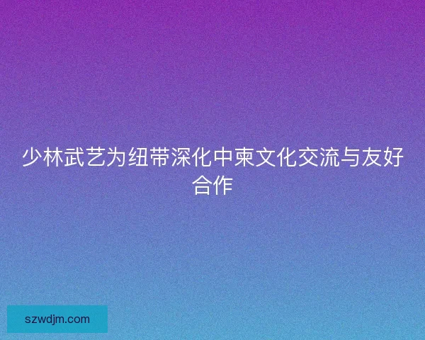 少林武艺为纽带深化中柬文化交流与友好合作