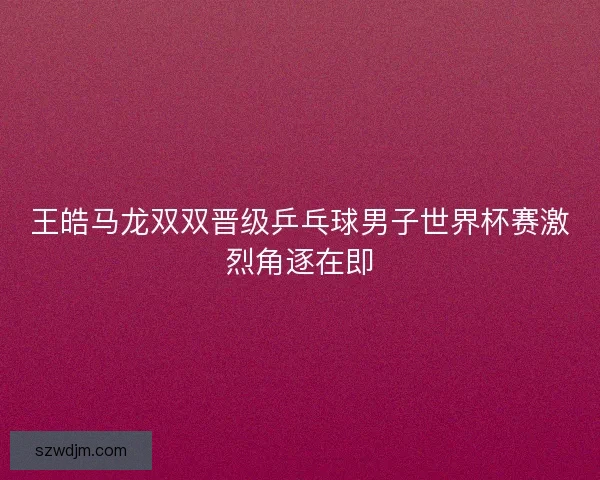 王皓马龙双双晋级乒乓球男子世界杯赛激烈角逐在即 王皓马龙双双晋级乒乓球男子世界杯赛激烈角逐在即