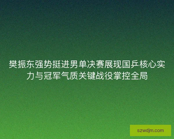 樊振东强势挺进男单决赛展现国乒核心实力与冠军气质关键战役掌控全局