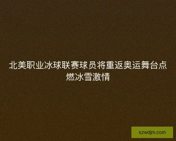 北美职业冰球联赛球员将重返奥运舞台点燃冰雪激情 北美职业冰球联赛球员将重返奥运舞台点燃冰雪激情