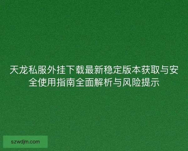 天龙私服外挂下载最新稳定版本获取与安全使用指南全面解析与风险提示